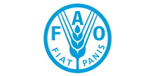 1.FAO