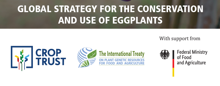 72.-Global-Strategy-for-the-Conservation-and-Use-of-Eggplants9-3-08.09.2022